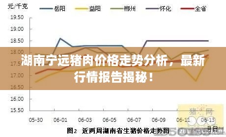 湖南寧遠(yuǎn)豬肉價格走勢分析，最新行情報告揭秘！