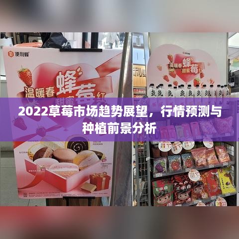 2022草莓市場趨勢展望，行情預(yù)測與種植前景分析