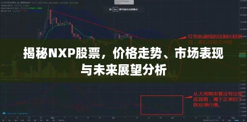 揭秘NXP股票，價(jià)格走勢、市場表現(xiàn)與未來展望分析