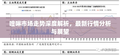 喹啉市場走勢深度解析，最新行情分析與展望