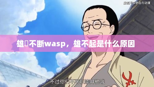 雄獣不斷wasp，雄不起是什么原因 