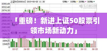 「重磅！新進(jìn)上證50股票引領(lǐng)市場新動力」