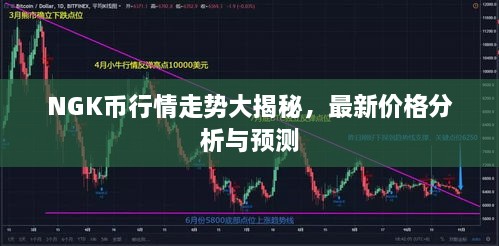 NGK幣行情走勢大揭秘，最新價格分析與預測