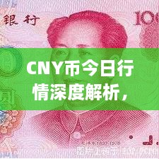 CNY幣今日行情深度解析，最新價(jià)格動(dòng)態(tài)一網(wǎng)打盡！