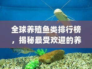 全球養(yǎng)殖魚類排行榜，揭秘最受歡迎的養(yǎng)殖魚類種類！