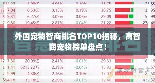 外國(guó)寵物智商排名TOP10揭秘，高智商寵物榜單盤(pán)點(diǎn)！