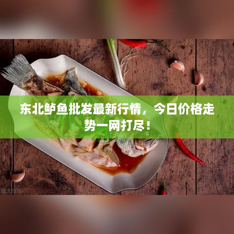 東北鱸魚批發(fā)最新行情，今日價(jià)格走勢(shì)一網(wǎng)打盡！