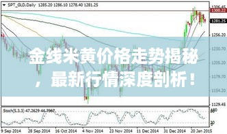 金線米黃價(jià)格走勢(shì)揭秘，最新行情深度剖析！