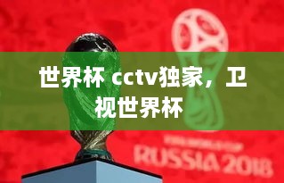 世界杯 cctv獨(dú)家，衛(wèi)視世界杯 