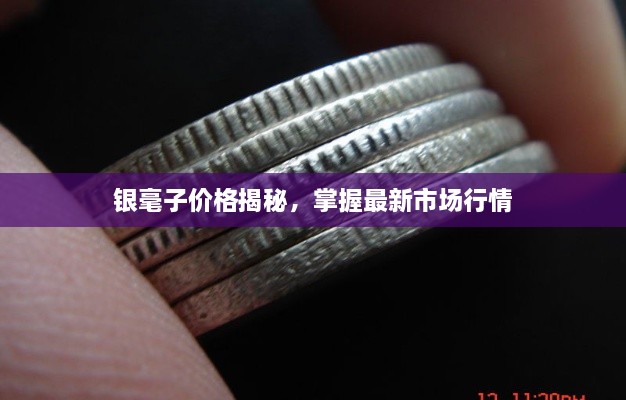 銀毫子價(jià)格揭秘，掌握最新市場(chǎng)行情