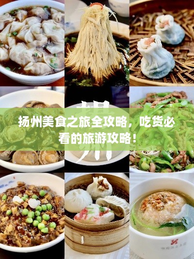 揚(yáng)州美食之旅全攻略，吃貨必看的旅游攻略！