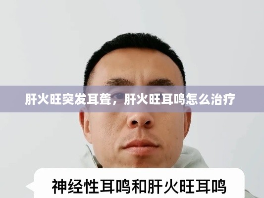 肝火旺突發(fā)耳聾，肝火旺耳鳴怎么治療 