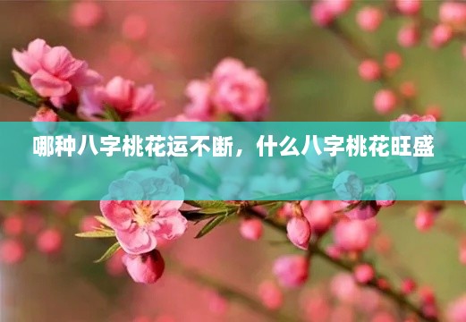 哪種八字桃花運(yùn)不斷，什么八字桃花旺盛 