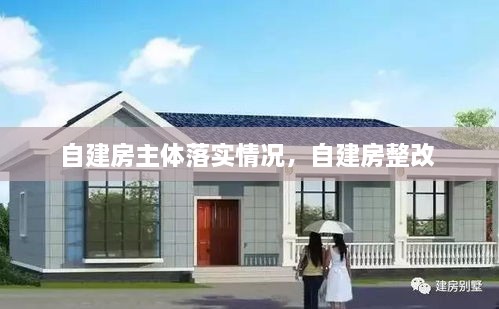 自建房主體落實(shí)情況，自建房整改 