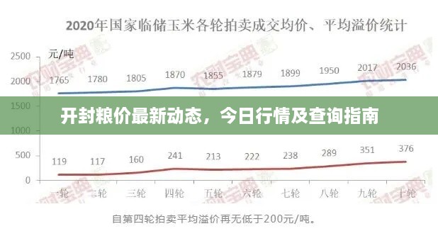 開(kāi)封糧價(jià)最新動(dòng)態(tài)，今日行情及查詢(xún)指南