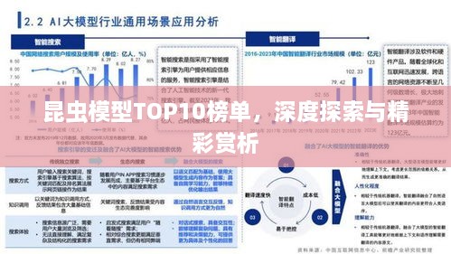 昆蟲(chóng)模型TOP10榜單，深度探索與精彩賞析