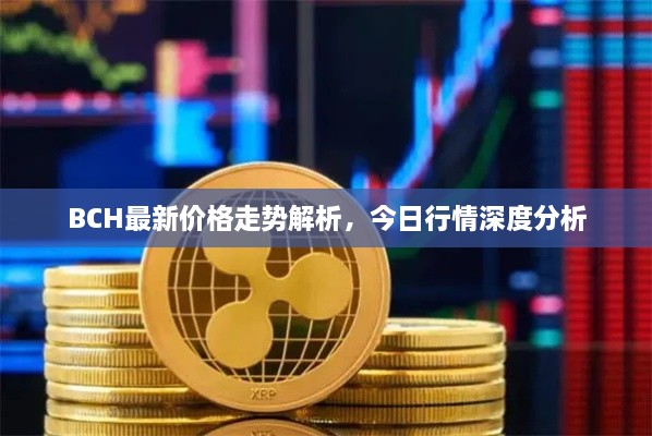 BCH最新價(jià)格走勢(shì)解析，今日行情深度分析