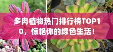 多肉植物熱門(mén)排行榜TOP10，驚艷你的綠色生活！