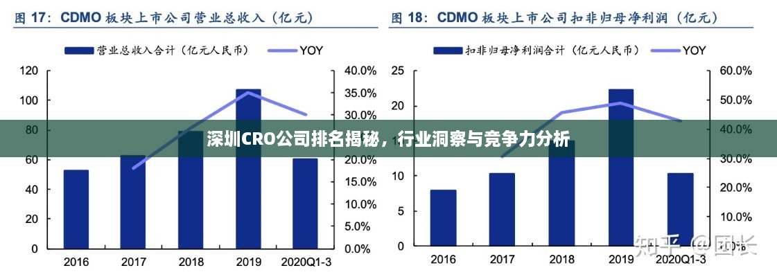 深圳CRO公司排名揭秘，行業(yè)洞察與競(jìng)爭(zhēng)力分析