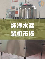 純凈水灌裝機(jī)市場(chǎng)走勢(shì)解析，最新行情深度探討