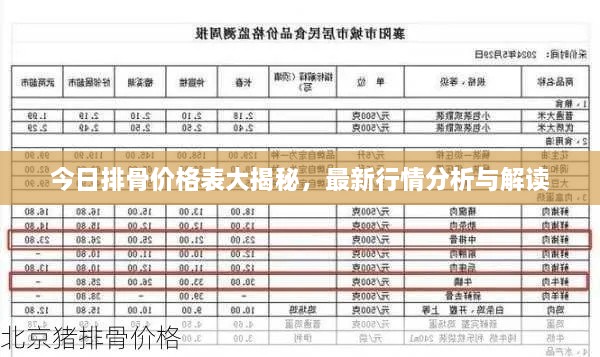 今日排骨價(jià)格表大揭秘，最新行情分析與解讀