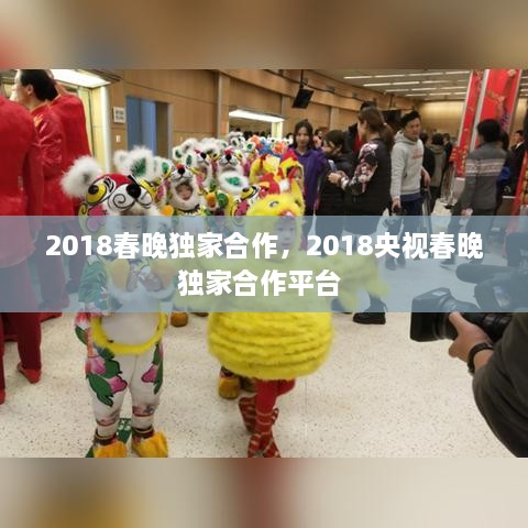 2018春晚獨家合作，2018央視春晚獨家合作平臺 