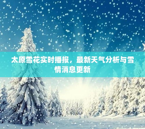 太原雪花實(shí)時(shí)播報(bào)，最新天氣分析與雪情消息更新