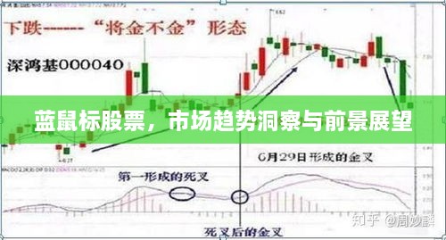 藍鼠標股票，市場趨勢洞察與前景展望