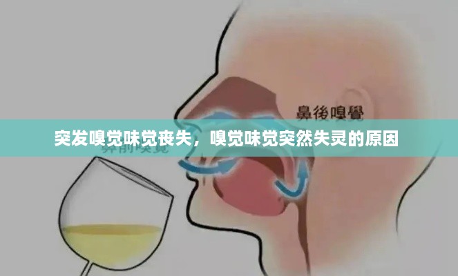 突發(fā)嗅覺味覺喪失，嗅覺味覺突然失靈的原因 