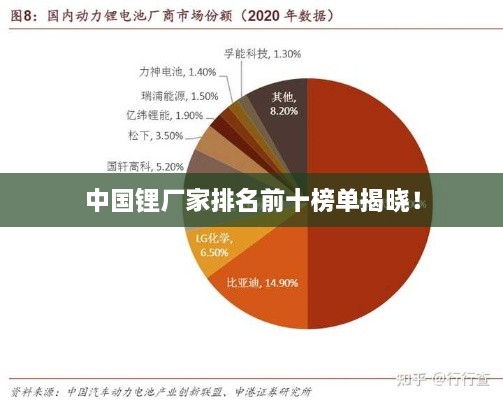 中國鋰廠家排名前十榜單揭曉！